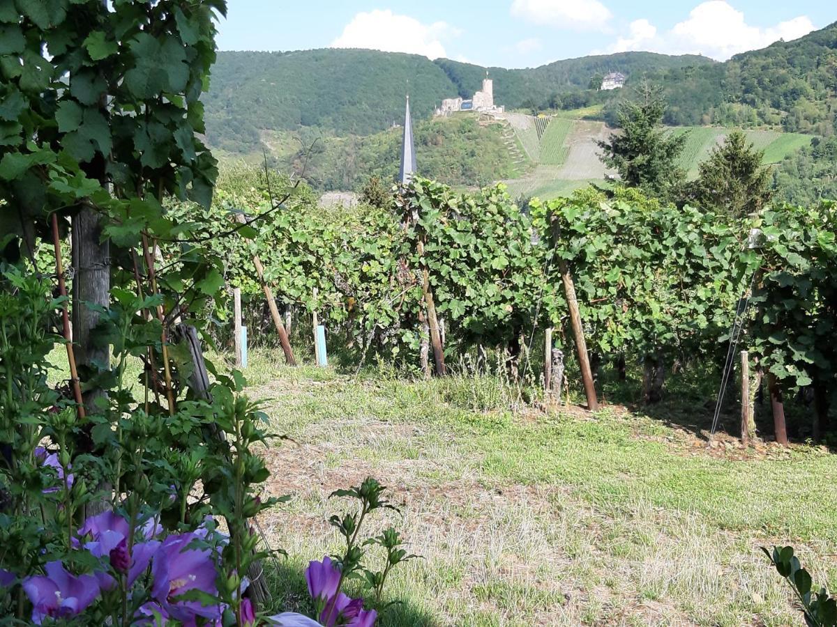 Ferienappartement Lieser Bernkastel-Kues Kültér fotó